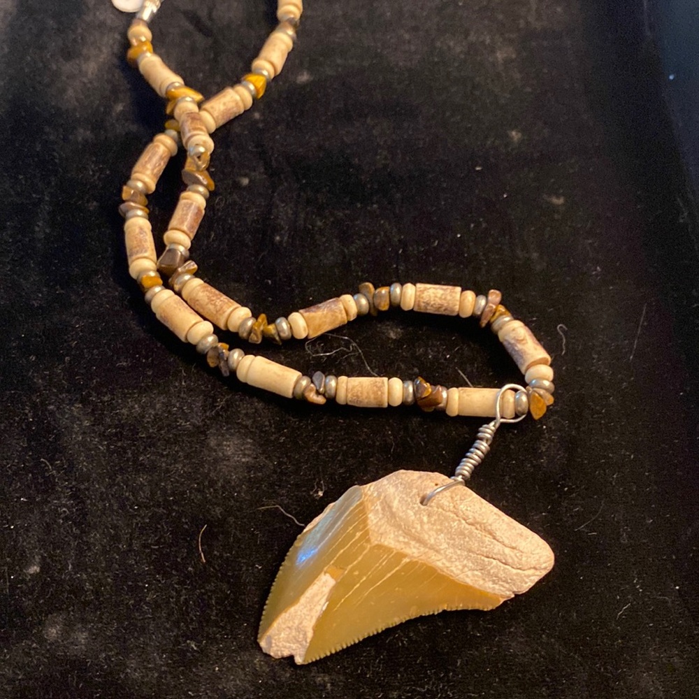 SHARK TOOTH NECKLACE